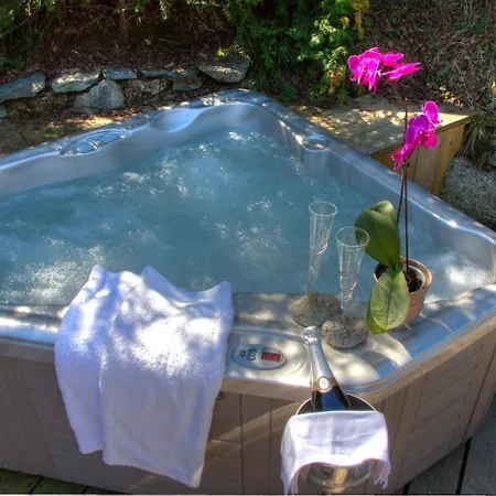 Les De Philippe Avec Jacuzzis Privatifs 5* シャモニー